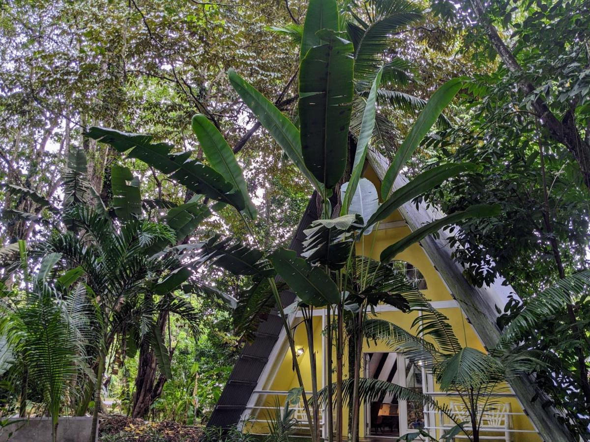 Caribbean Flow Puerto Viejo de Talamanca ภายนอก รูปภาพ