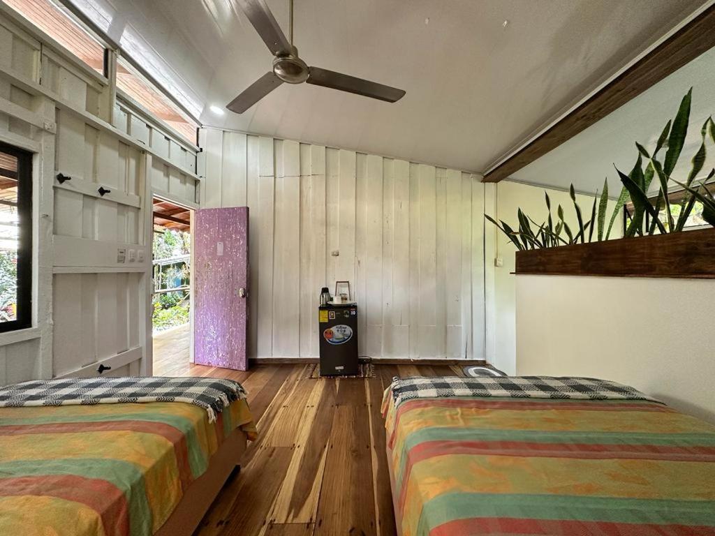 Caribbean Flow Puerto Viejo de Talamanca ภายนอก รูปภาพ