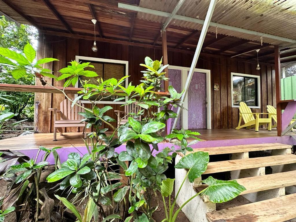 Caribbean Flow Puerto Viejo de Talamanca ภายนอก รูปภาพ