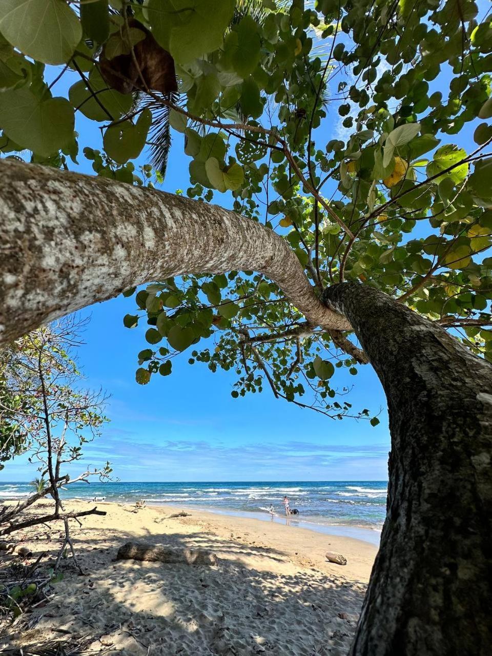 Caribbean Flow Puerto Viejo de Talamanca ภายนอก รูปภาพ