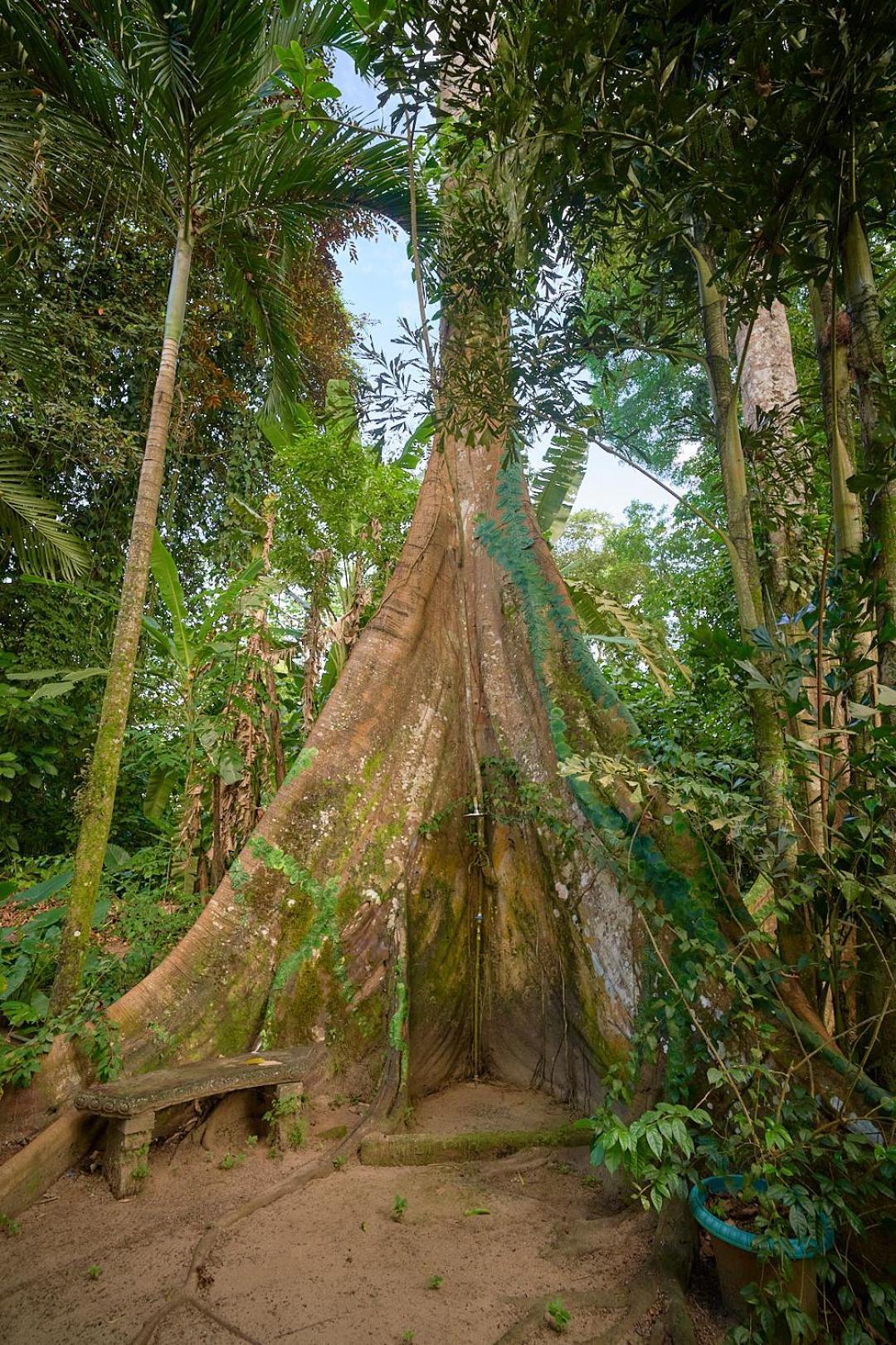 Caribbean Flow Puerto Viejo de Talamanca ภายนอก รูปภาพ